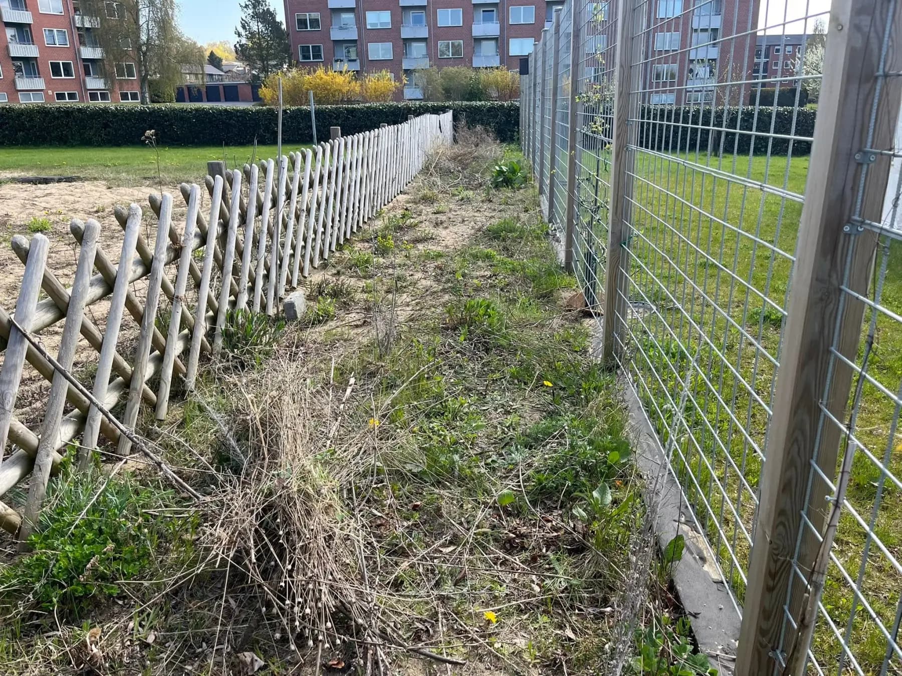 Før ukrudtsfjernelse: Ukrudtet ryddet af vejen