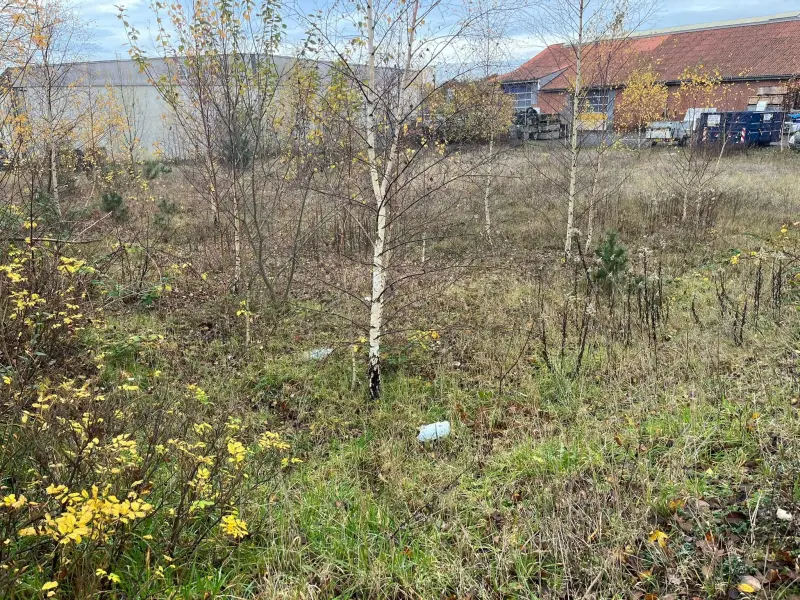 Før: Et glemt hjørne ryddet helt