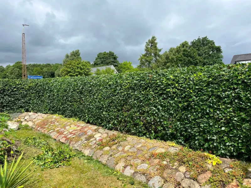 Efter: Fra buskads til skarpe linjer