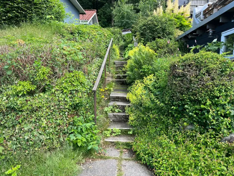Før: Fra vildtvoksende til ligefrem