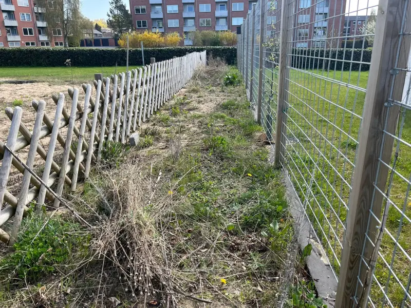 Før: Ukrudtet ryddet af vejen