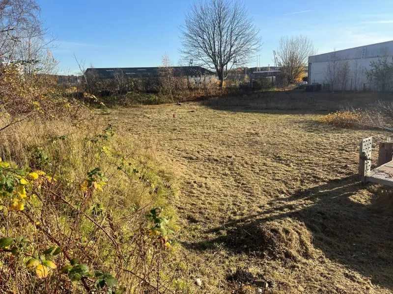 Efter: Fliser og bede befriet for ukrudt