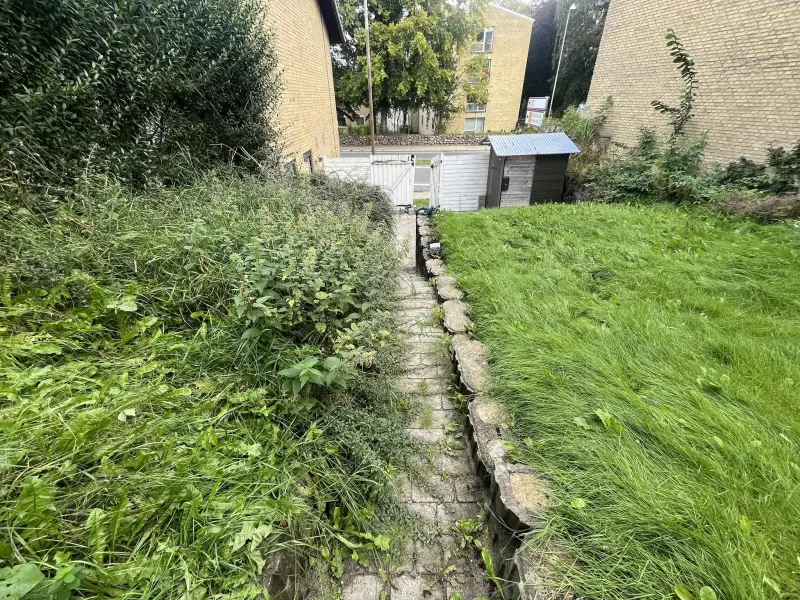 Før: Klar bane for de rigtige planter